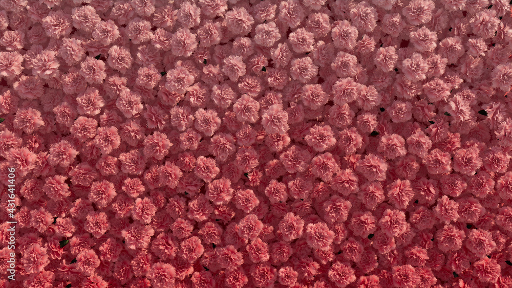 Colorful, Beautiful Wall background with Carnations. Vibrant, Floral