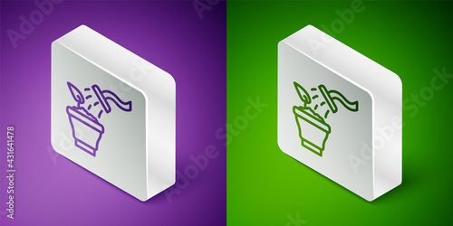Isometric line Spraying a house plant with a spray gun icon isolated on purple and green background. Moistening of foliage. Care for home flowers. Silver square button. Vector