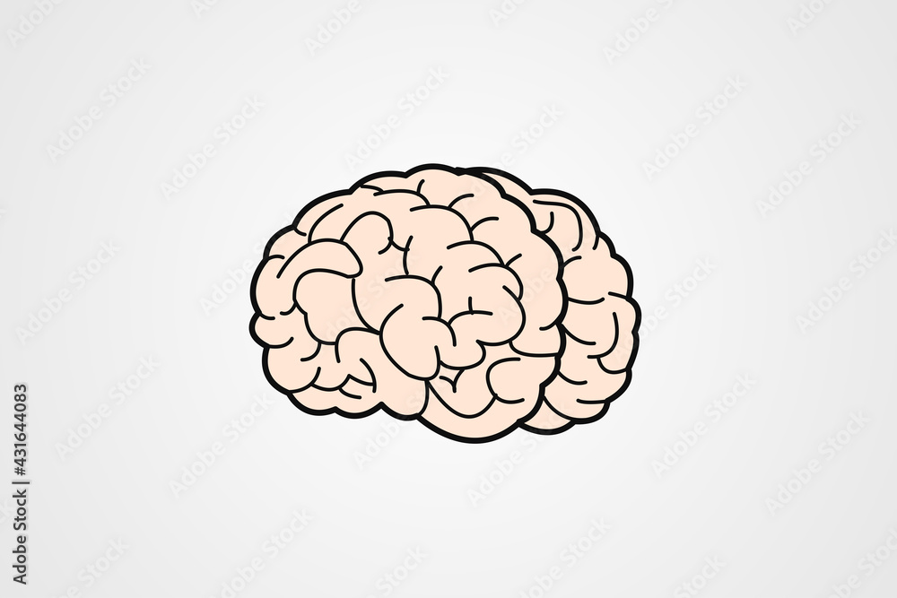 human brain human brain
