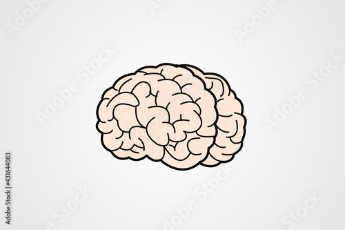 human brain