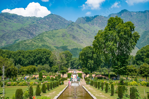 Nishat Garden in Srinagar, Also known as “the garden of bliss”, Nishat Garden in Srinagar is set on the banks of the beautiful Dal Lake photo