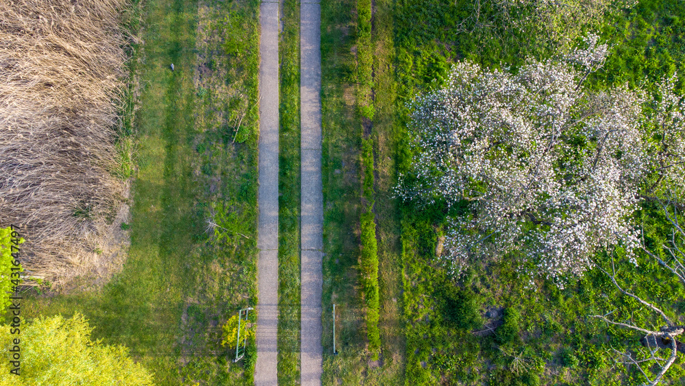 Fototapeta premium Aerial View of New Residential Garden with Flowers, Decorative Trees and Natural Grass Installation with a small concrete path. High quality photo