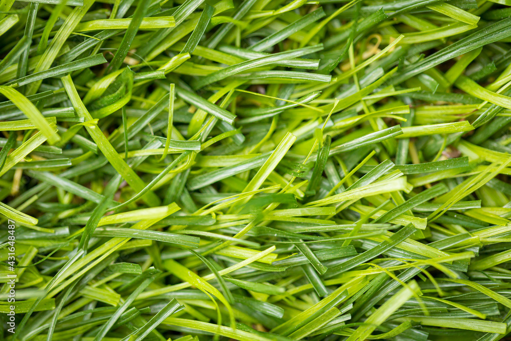Green artificial grass for lawn decoration Green artificial grass for lawn decoration