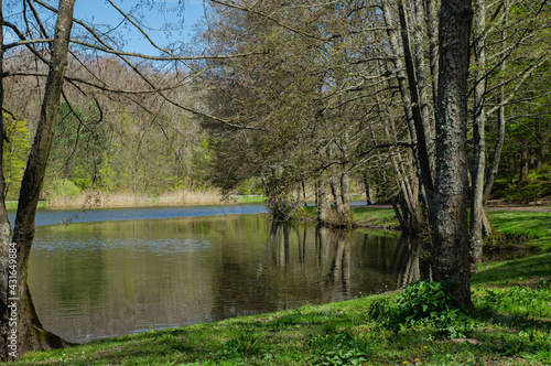 Obraz na płótnie Bäume-Bruderbäume w salonie