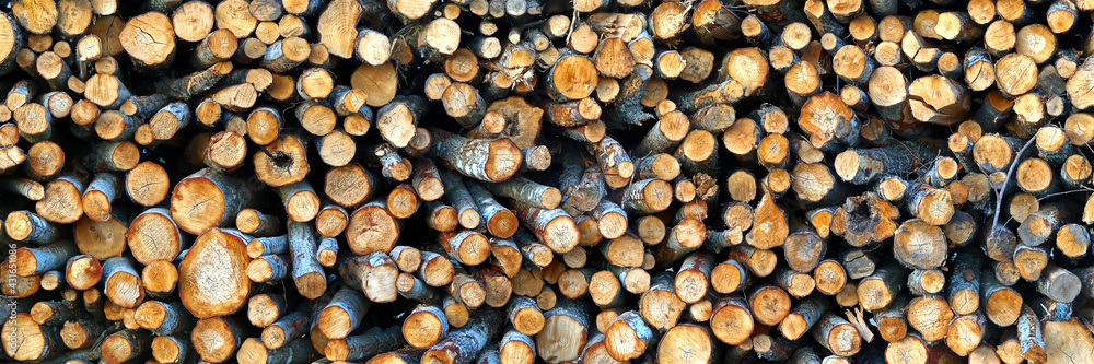 Logging industry. cut trees are stacked. logs before sawing into boards. tree cut panorama, banner Logging industry. cut trees are stacked. logs before sawing into boards. tree cut panorama, banner