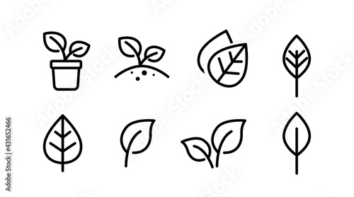Plants Set. Leaves or plants vector black and white isolated illustrations