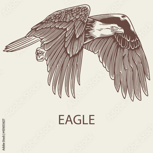 Eagle hand drawn sketches minimalist concept. Bird with spread wings and sharp claws with beak. Vector illustration vintage engraving hawk icon, symbol of nobility, power and strength.