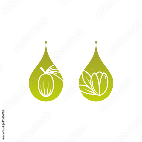 Shea nut and Argan nut with oil drop green icon. vitellaria beauty and cosmetics oil.