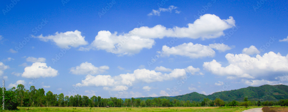 landscape with grass and sky and clouds.