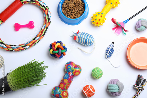 Different pet toys and feeding bowls on white background, top view