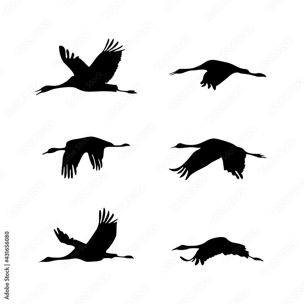 Fototapeta premium Silhouette of 6 flying birds