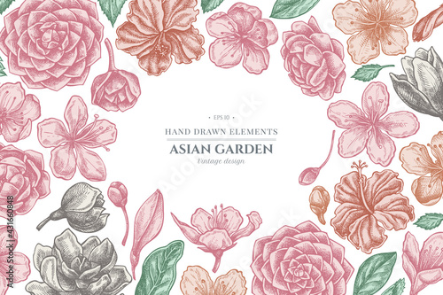Fotografiet Floral design with pastel hibiscus, plum flowers, peach flowers, sakura flowers,