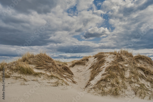 Fototapeta Naklejka Na Ścianę i Meble -  Dunes on Skallingen at the North Sea in rural western Denmark