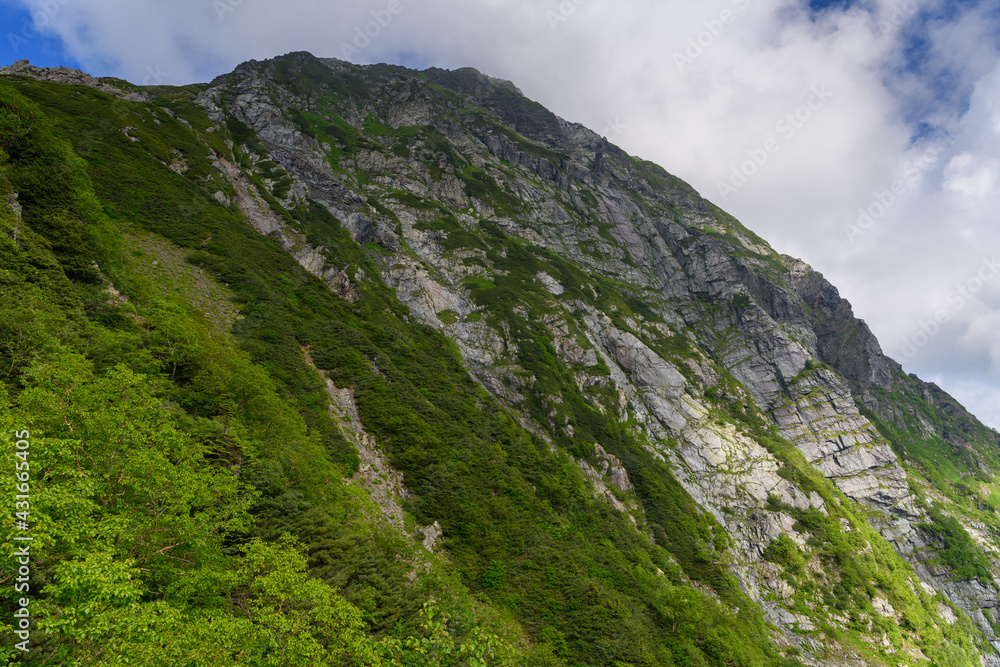 夏の北岳