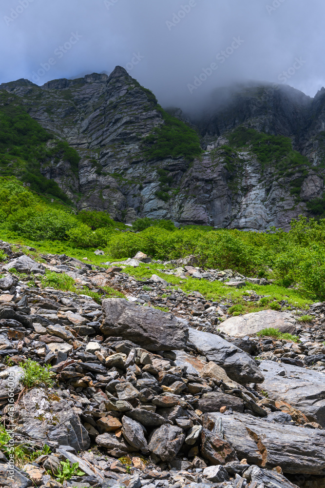 Obraz premium 夏の北岳