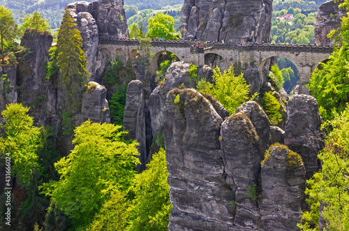 Green rock landscape with bridge, Germany, Saxon Switzerland.
