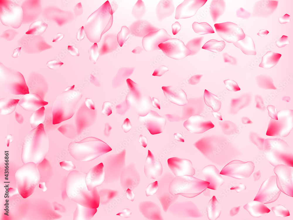 Spring blossom isolated petals flying Spring blossom isolated petals flying