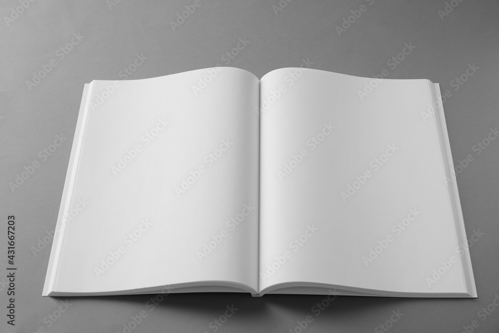 Open blank brochure on light grey background Open blank brochure on light grey background