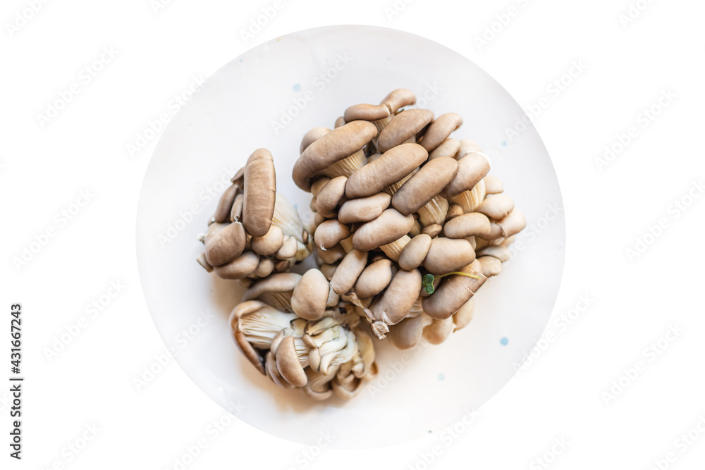 fresh oyster mushroom raw mushrooms meal snack diet vegan or vegetarian food copy space food background rustic. top view fresh oyster mushroom raw mushrooms meal snack diet vegan or vegetarian food copy space food background rustic. top view