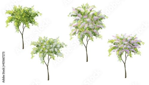 Collection of abstract watercolor tree side view isolated on white background  for landscape and architecture layout drawing  elements for environment and garden  blossom grass illustration flower blo