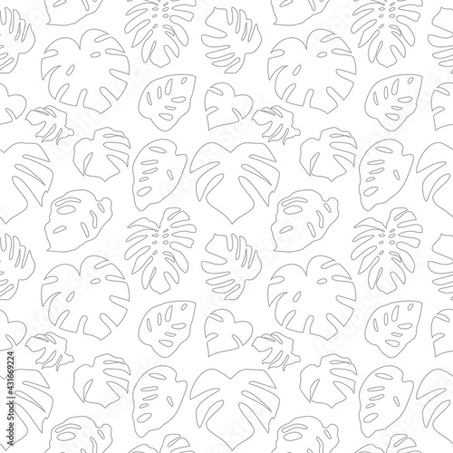 Seamless simple monochrome pattern with gray outline monstera leaves on white background. Vector illustration.