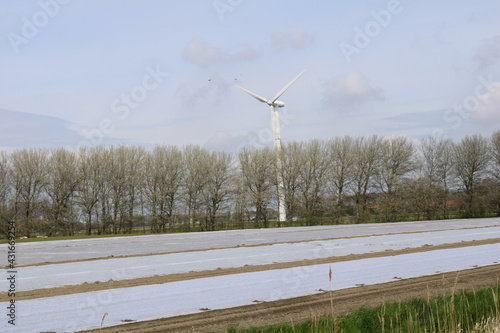 wind turbine in winter