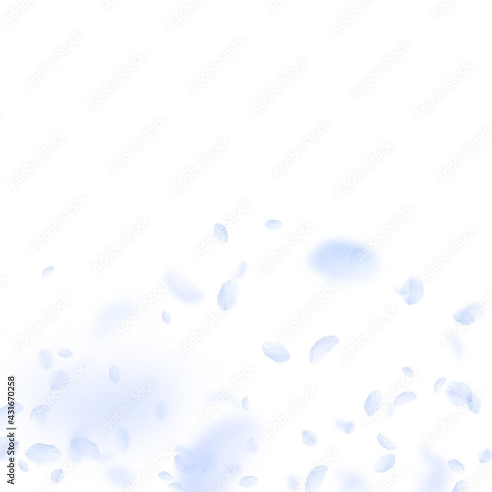 Light blue flower petals falling down. Fabulous ro Light blue flower petals falling down. Fabulous ro