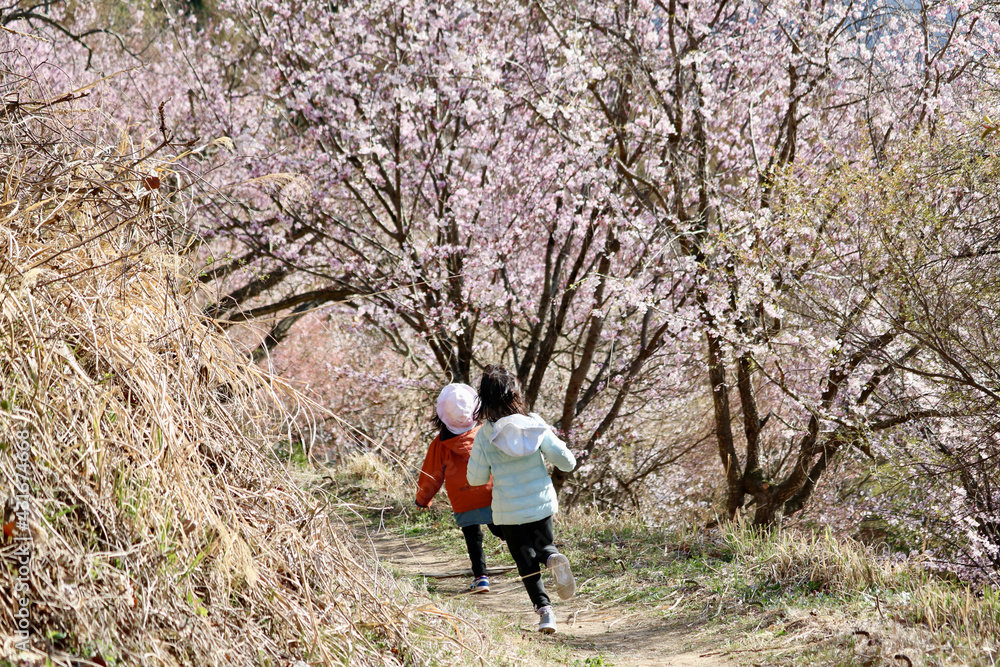 桜並木を走る子供達
