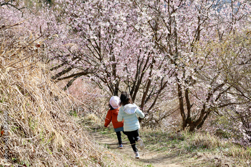 桜並木を走る子供達  © Takahiko