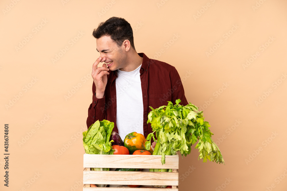 Farmer with freshly picked vegetables in a box isolated on beige background smiling a lot Farmer with freshly picked vegetables in a box isolated on beige background smiling a lot