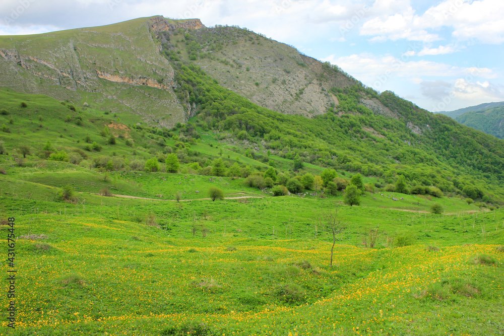 Naklejka premium Beautiful fields in the mountains. The village of Gryzdakhnya. Guba region. Azerbaijan.