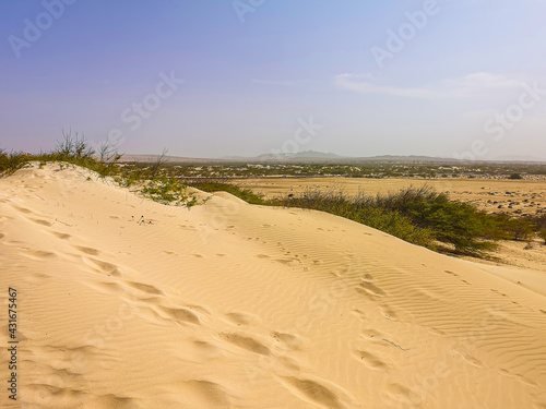 Desert view on Boa Vista Island, Cape Verde. African climate, hot air, humid weather. Majestic sand dunes and blue sky. Selective focus on the plants, blurred background.