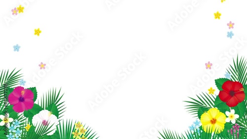 南国の花ハイビスカスとヤシの葉のフレーム.　イラスト動画