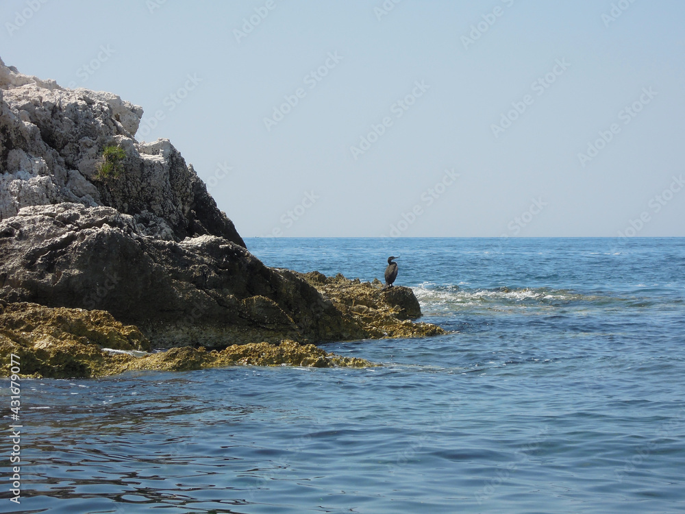 Landscape of Adriatic sea - Vrsar, Croatia Landscape of Adriatic sea - Vrsar, Croatia