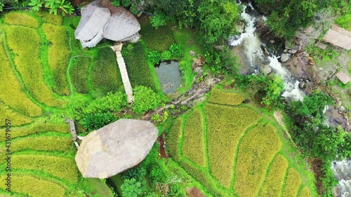 Aerial view of Giant Bamboo Hut with rice flieds in Chiang mai, Thailand. photo