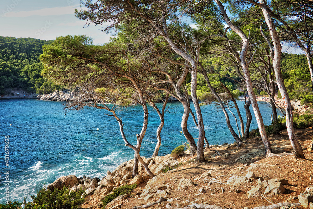 Calanque between Cassis and Marseille, France. Mediterranean landscape. Calanque between Cassis and Marseille, France. Mediterranean landscape.