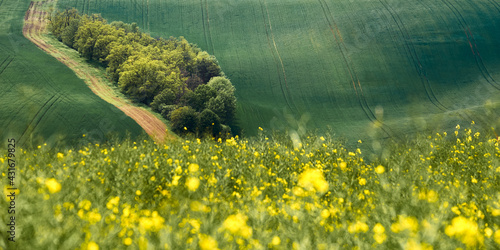 green field czech tuscany 