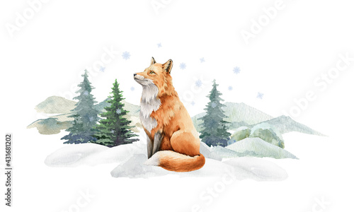 Photography Fox animal in winter landscape
