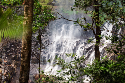 Waterfall through the trees