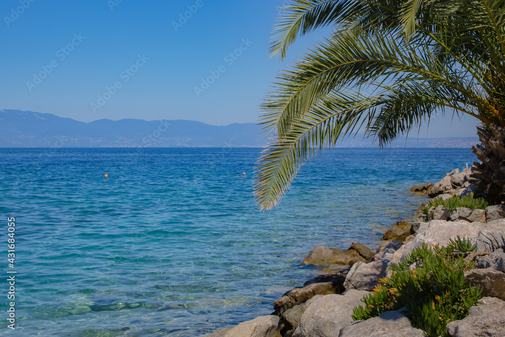 Seascape with turquoise blue ocean and a green palm tree on some rocks.