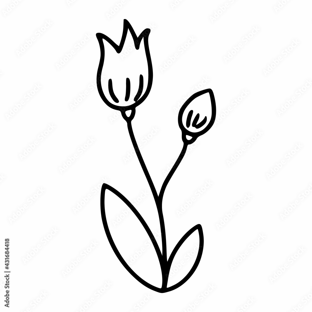 Wild bellflower or lily flower. Contour icon. Wild bellflower or lily flower. Contour icon.