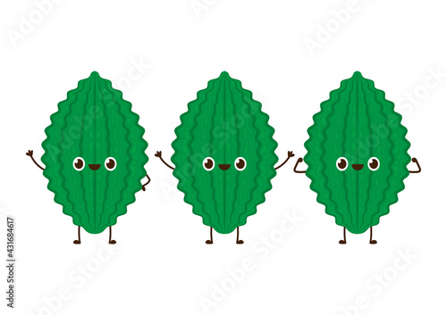 Bitter gourd character design. Bitter gourd on white background.
