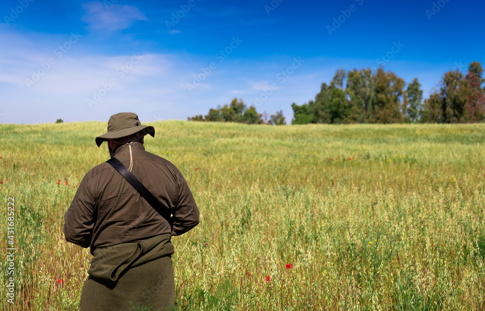 A man observing a meadow in the middle of nature. A man observing a meadow in the middle of nature.