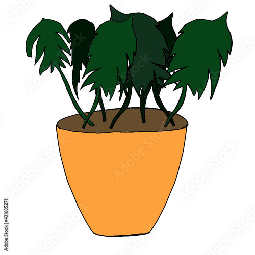 flowerpots, home flowerpots, potted flowers, flower pot, pot, flowers, house, leaves, botany