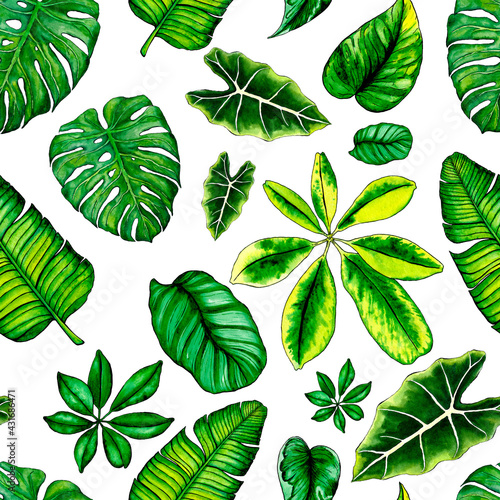 Tropical leaves watercolor hand drawn seamless pattern. Tropical leaves background. Greenery wallpaper