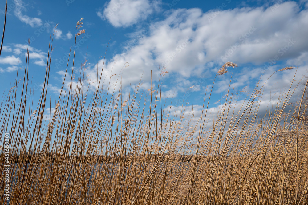 Fototapeta premium Urlaub in Deutschland