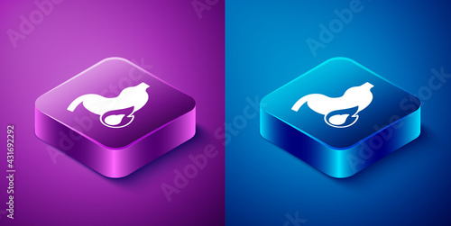 Isometric Stomach heartburn icon isolated on blue and purple background. Stomach burn. Gastritis and acid reflux, indigestion and stomach pain problems. Square button. Vector