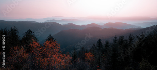 Amazing panorama of autumnal autumn fog landscape in black forest panorama banner long in the morning, with colorful orange red leaves