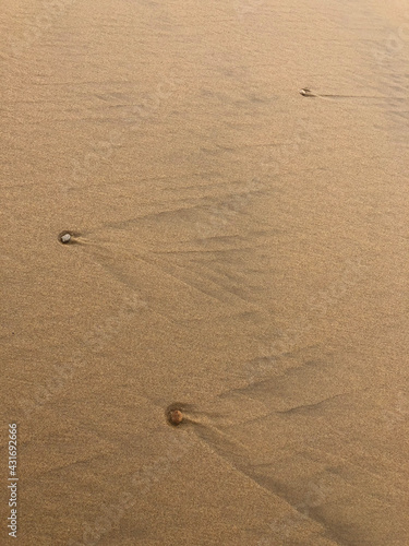 Three rocks with ripples in the sand on a beach in Umina