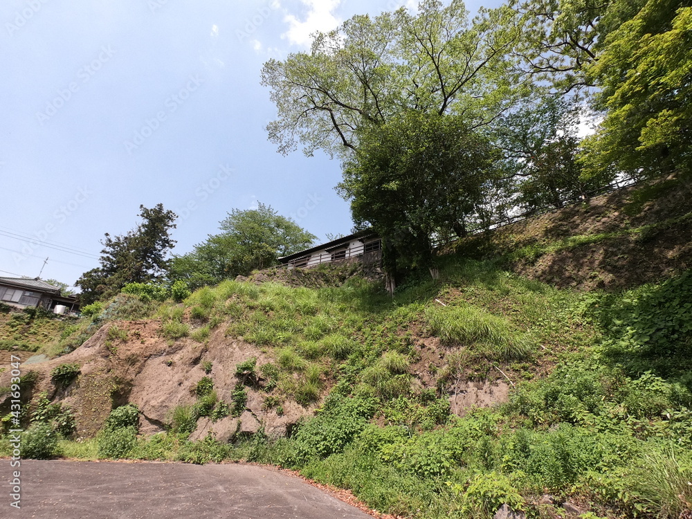 Fototapeta premium 臼杵城跡、大分、日本